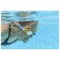 Wave Crest swimming glasses, from 7 years old, Mix color, 21049 Bestway