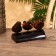 Souvenir "Birds on the tree" Albezia 17x11x9 cm