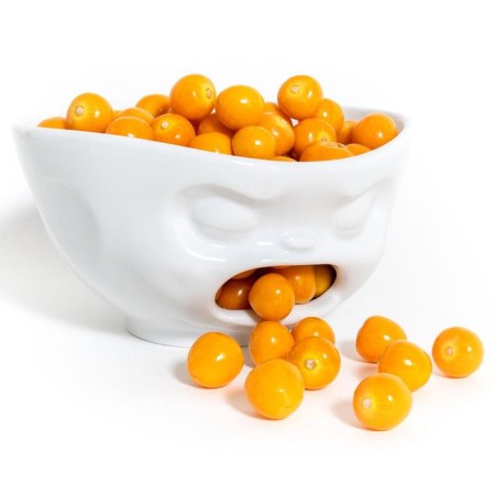 TASSEN Barfing bowl, 1 l, white color-3