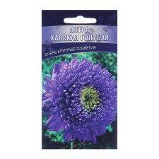 Flowers of Astra 