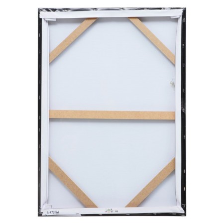 Picture- canvas on the subframe "Sculpture" 50*70cm-2