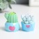 Polystone souvenir "Cactus in a pot" MIX 4x2.5x3 cm