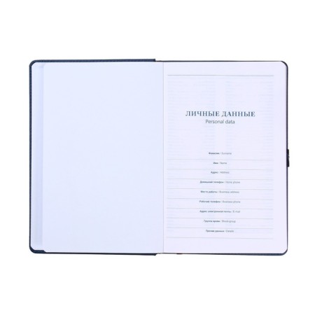 The diary is low, PVC cover, A5 format, 140 l, cell, with a strap, mix-4