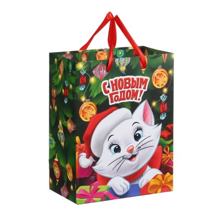 New Year. Gift package, 18x23x11.5 cm, packaging, cats aristocrats-1