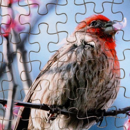 Puzzle series Fantasy "Bird", 54 details, size - 28 × 18.5 cm-2