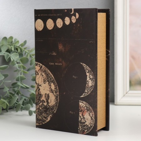 Safe Brush tree to the leatherette "Moon" 21x13x5 cm-1