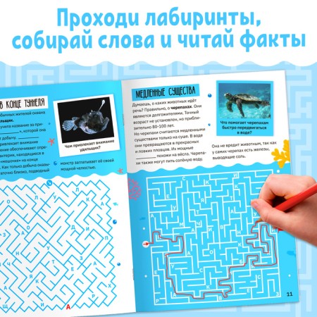 The book "Labyrinths and Facts. Amazing underwater world ", 24 p. 3-2
