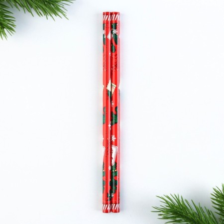Gift New Year's Set: notebook, pencils of b/g 2 pcs and wax crayons "New Year's package"-12