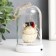 Souvenir Polystone Light "Scientific Filin" mix 5.8x5.8x10.5 cm