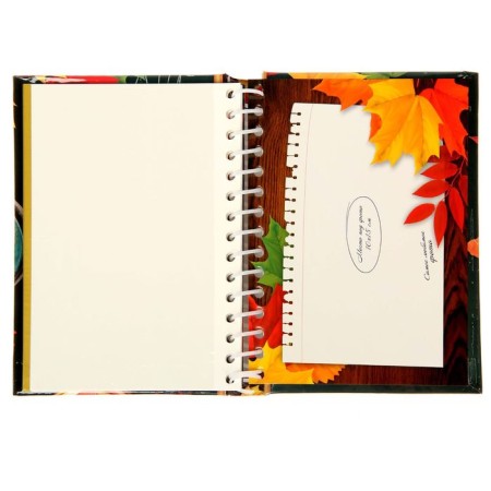 Photo album for graduation "School years" 10 magnetic sheets-3