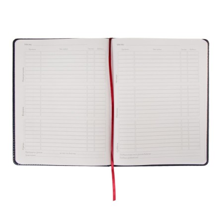 Universal diary for grades 1-11, 48 sheets of Sidney Nebraska, solid cover, artificial leather, thermoting, liesse, block 70 g/m2, gray block-2