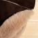 A cap of a sheepskin "Classic" Skornya seam, brown