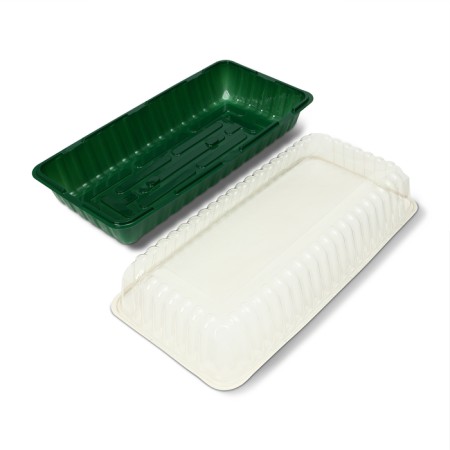 Mini-Pirate for seedlings, 44 × 22 × 12 cm, without inserts, Greengo-2