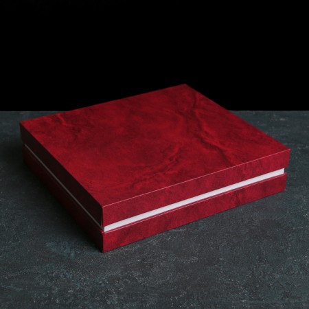 Set of dining room "Lira", 30 objects, decorative box, silver color-6