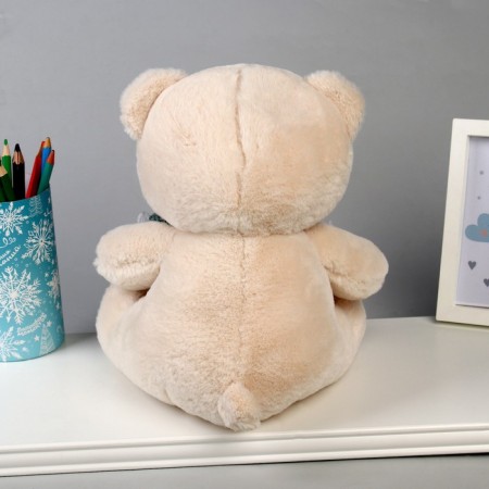 Soft toy "Bear", 26 cm, Mix colors-4