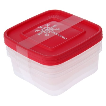 A set of containers for freezing products "Morozko", 3 pcs, 700 ml, color mix-5
