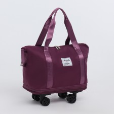 Bag Dor RK Kol, 40*21*33/48/63, departure for Meln, with led, n/pocket, holding d/suit, purple