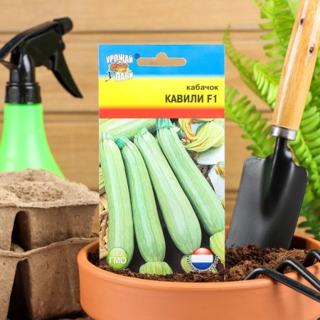 Semen zucchini "Kavili", F1.3 pcs.