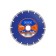 Edge by patriot disk Diamond, segment, universal, dry cut, 125x22.23 mm