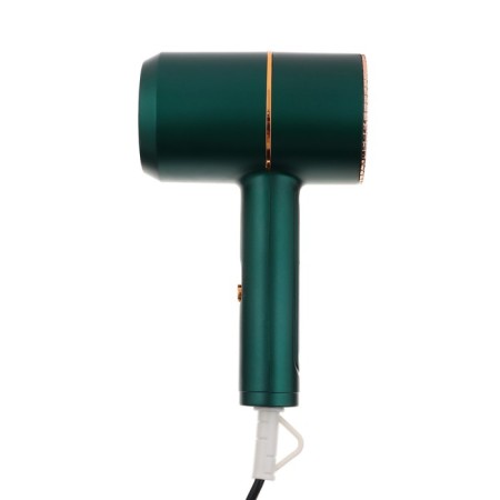 Feng LF-29, 750 W, 2 speeds, 3 temperature conditions, green-1