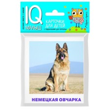 A set of cards for children of the 
