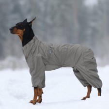 Combineson for dogs (male), insulated fleece, p. 40-2 (DS 40 cm, ok 48 cm, og 70 cm), hacks 1