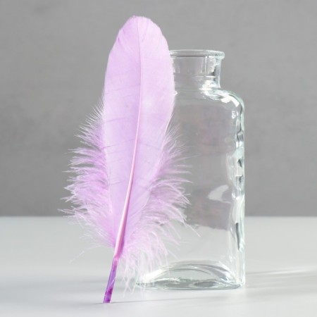 A set of goose feathers 13-18 cm, 20 pcs, light purple