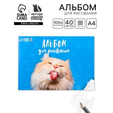 Альбом для рисования 40 листов А4 на скрепке «1 сентября: Котик» обложка 160 г/м2, бумага 100 г/м2.