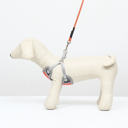 A set of ammunition with a soft breathing harness and a round leash 120 x 1 cm, red-5