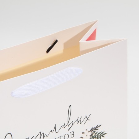 Laminated vertical packet "Happy Moments", ML 23 x 27 x 11.5 cm, New Year-4