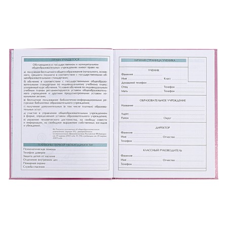 Diary for grades 5-11 Technoboom No. 3, integral cover, glossy lamination, 48 sheets, block 70 g/m2-5