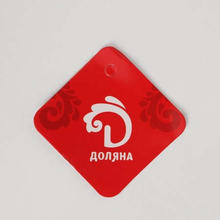 Hang -up hanger "Shah", 4 double hooks, 33 × 13 × 6 cm, color chromium-4