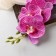Artificial Flowers "Orchid Falalanopsis" premium, 7x55 cm, lilac