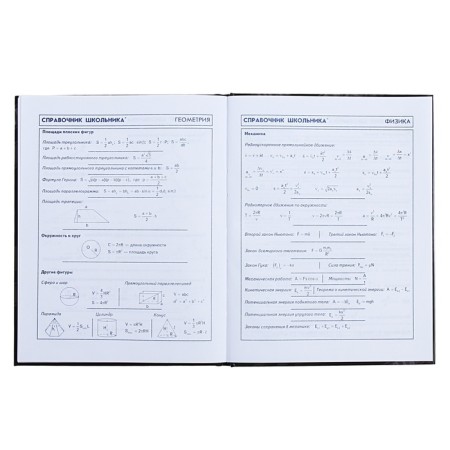 Diary for grades 5-11, 48 sheets "Duck Frick", solid cover, glossy lamination-11
