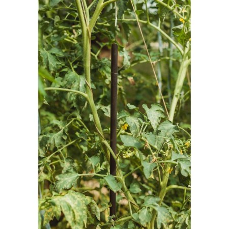 Pegs for garter plants, h = 120 cm, d = 1.6 cm, plastic-2