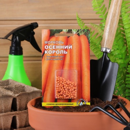 Carrots "Autumn King", 300 pcs.-2