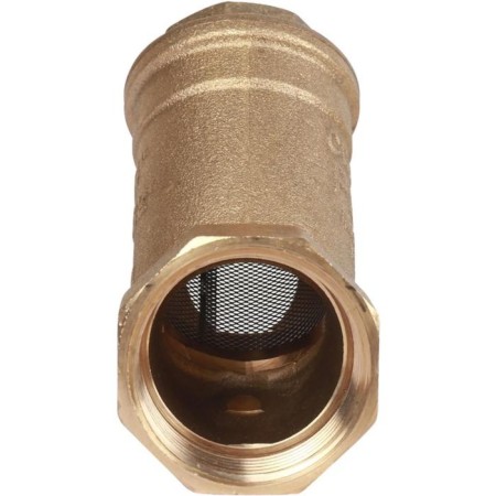 Carriage filter Stout SFW -0001-000032, 1 1/4 ", 500 md.-2