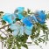 A butterfly for decor and floristry, on a clothespin, plastic, mix, 1 pc., 8 x 7 x 1 cm