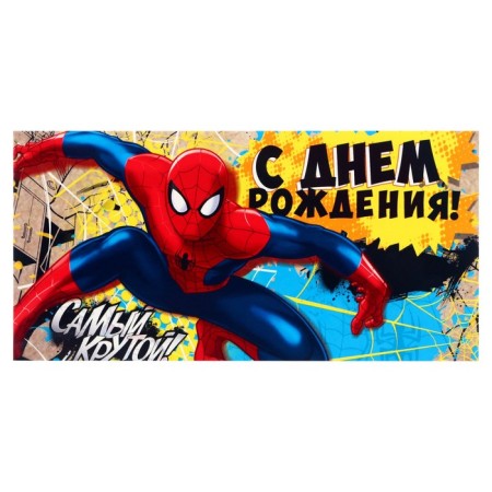 Envelopes for money, Minnie Mouse, Avengers, Marie, Spider-Man, Princess Mix-3