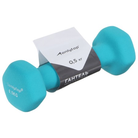 Non -repteenum dumbbells, 0.5 kg, blue color