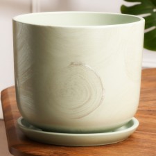Flower Orion Green Pot