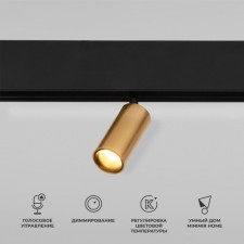 Умный трековый светильник Elektrostandard, Slim Magnetic, 192х30х128 мм, 5Вт, LED, 460Лм, 2700-6500К, цвет латунь