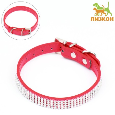 A collar with rows of 4 rows and rhinestones on a buckle, 38 x 1.5 cm, Osh 26-33, red