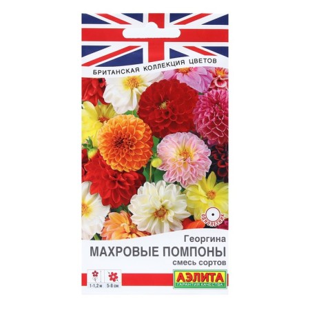 Georgin's flowers "terry pompons", a mixture of varieties, 0.2 g