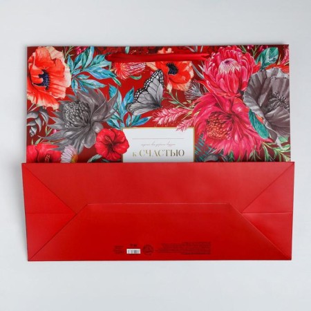 Gift package laminated, packaging, "Fortunately", XL 49 x 40 x 19 cm-4