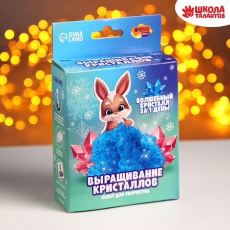 Set for creativity. Radiant crystals "Bunny"-3
