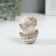 Polystone souvenir "Chicken in a shell" 5x4.5x6.5 cm