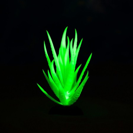 The plant is artificial aquarium, luminous, 10 cm, green-5