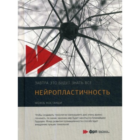 Neuroplasticity. Kostandy M.