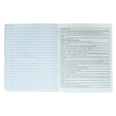 A notebook “Bright details”, 48 sheets in a cage “for essays”, cover coated cardboard, selective twin-lak, UV-lak, block offset-4